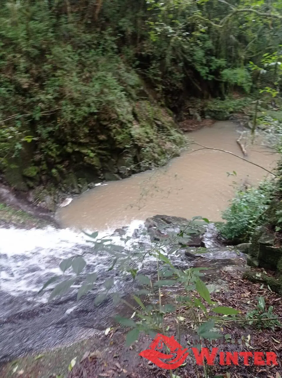 Imagem Área de terras com 56.494,00m², Presidente Lucena, RS.