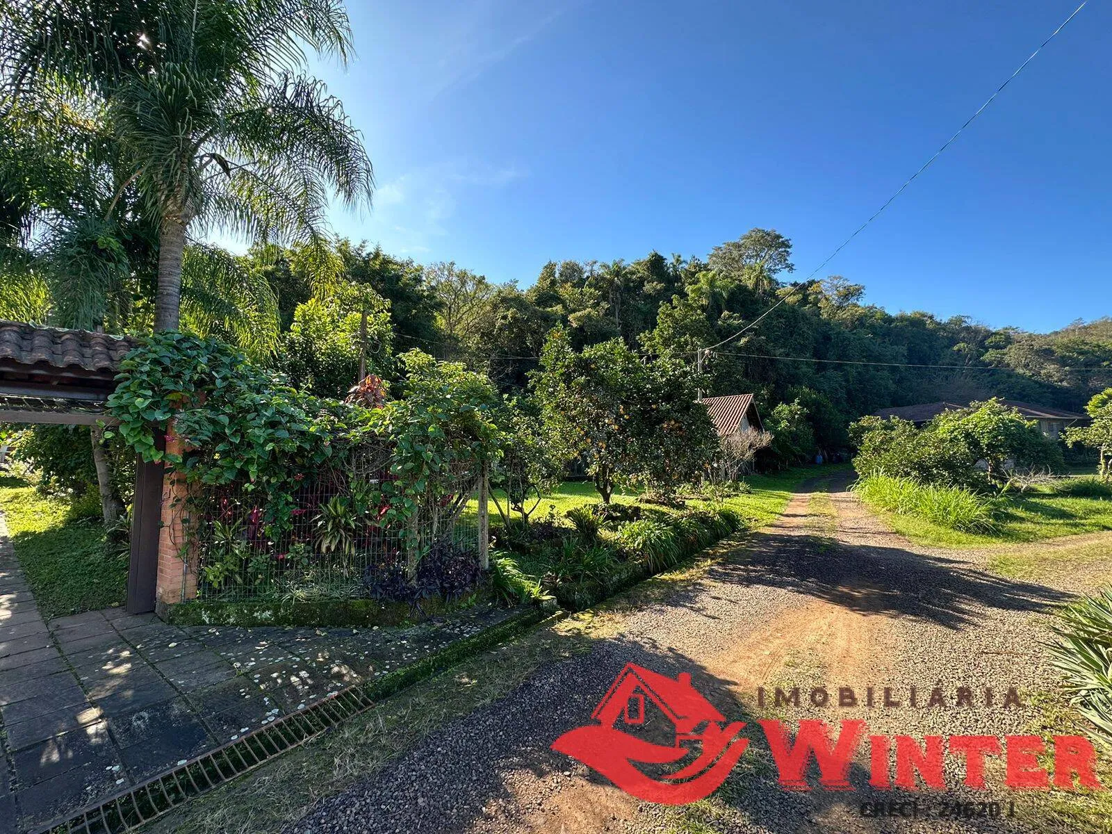 Imagem Chácara com casa e galpão com 6 hectares no Bananal, Feliz