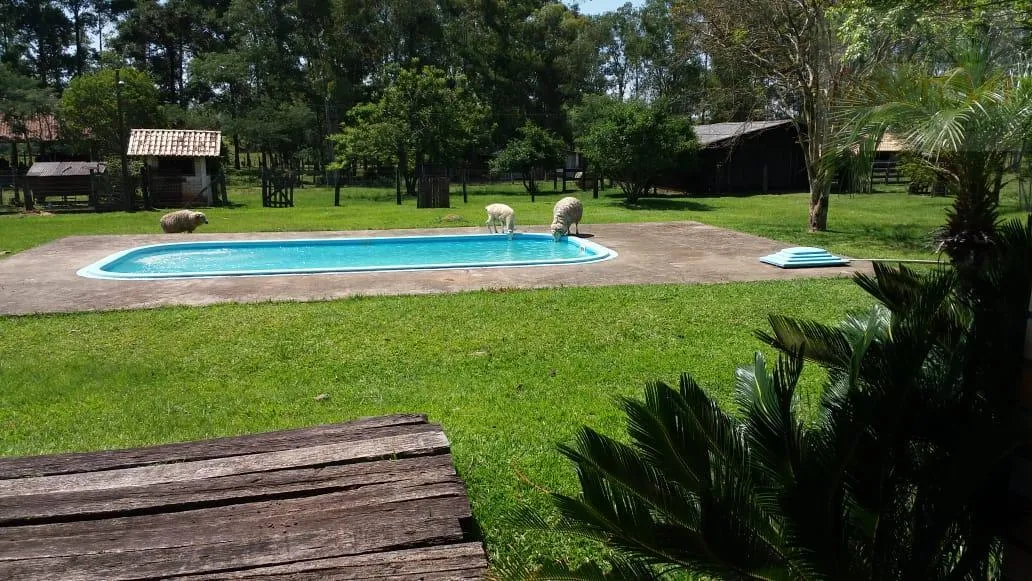 Imagem Chácara para Venda em Portão / RS