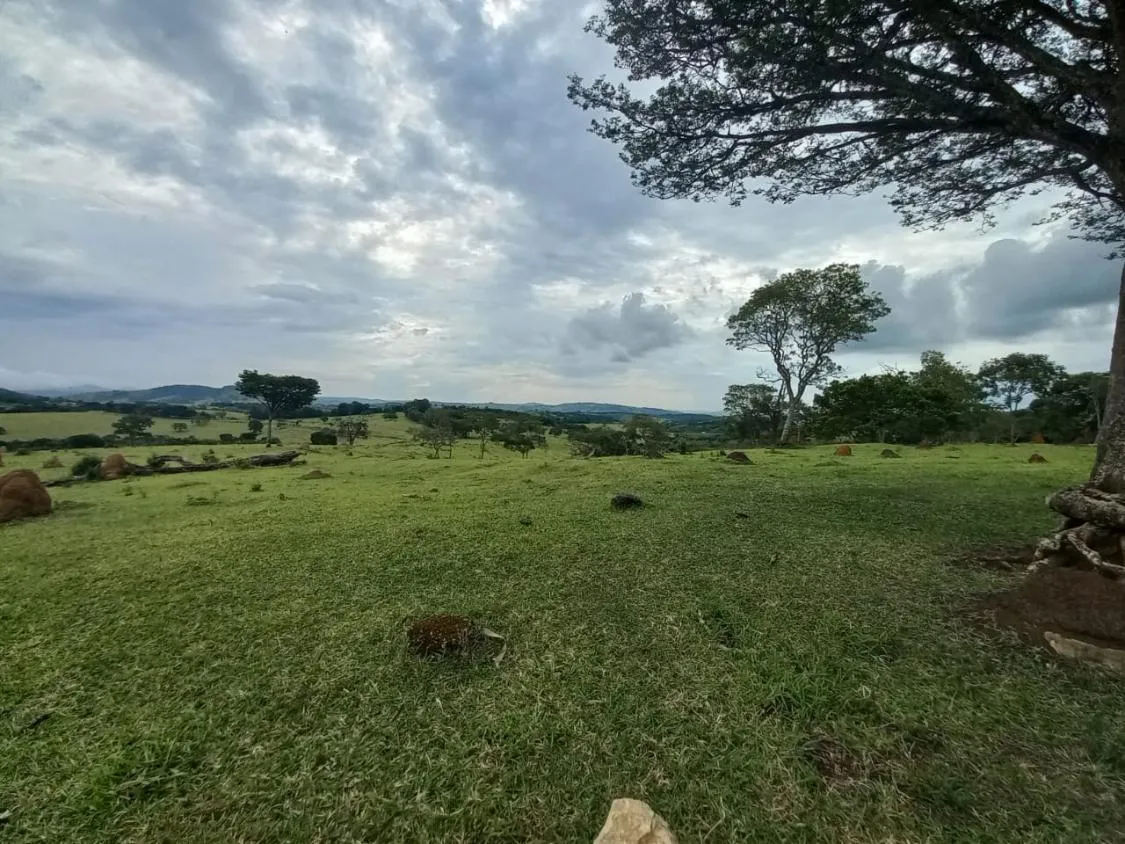 Imagem FAZENDA DE ALTO PADRÃO À VENDA - SUL DE MINAS 1.488 hectares de área total
