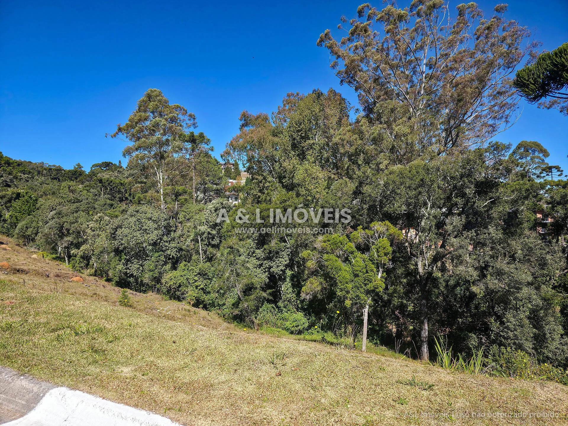 Imagem Lote à venda no Reserva Figueiredo | Campos do Jordão