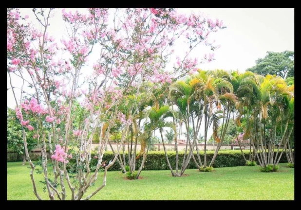 Imagem Excelente Chácara à Venda no Bairro do Curitibanos - Bragança Paulista!