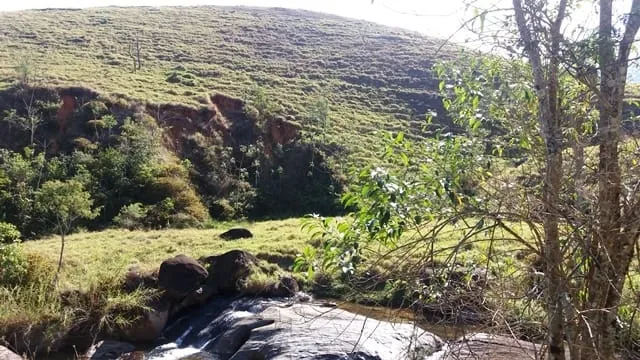 Imagem Chácara à venda Zona Rural, Cruzeiro - SP