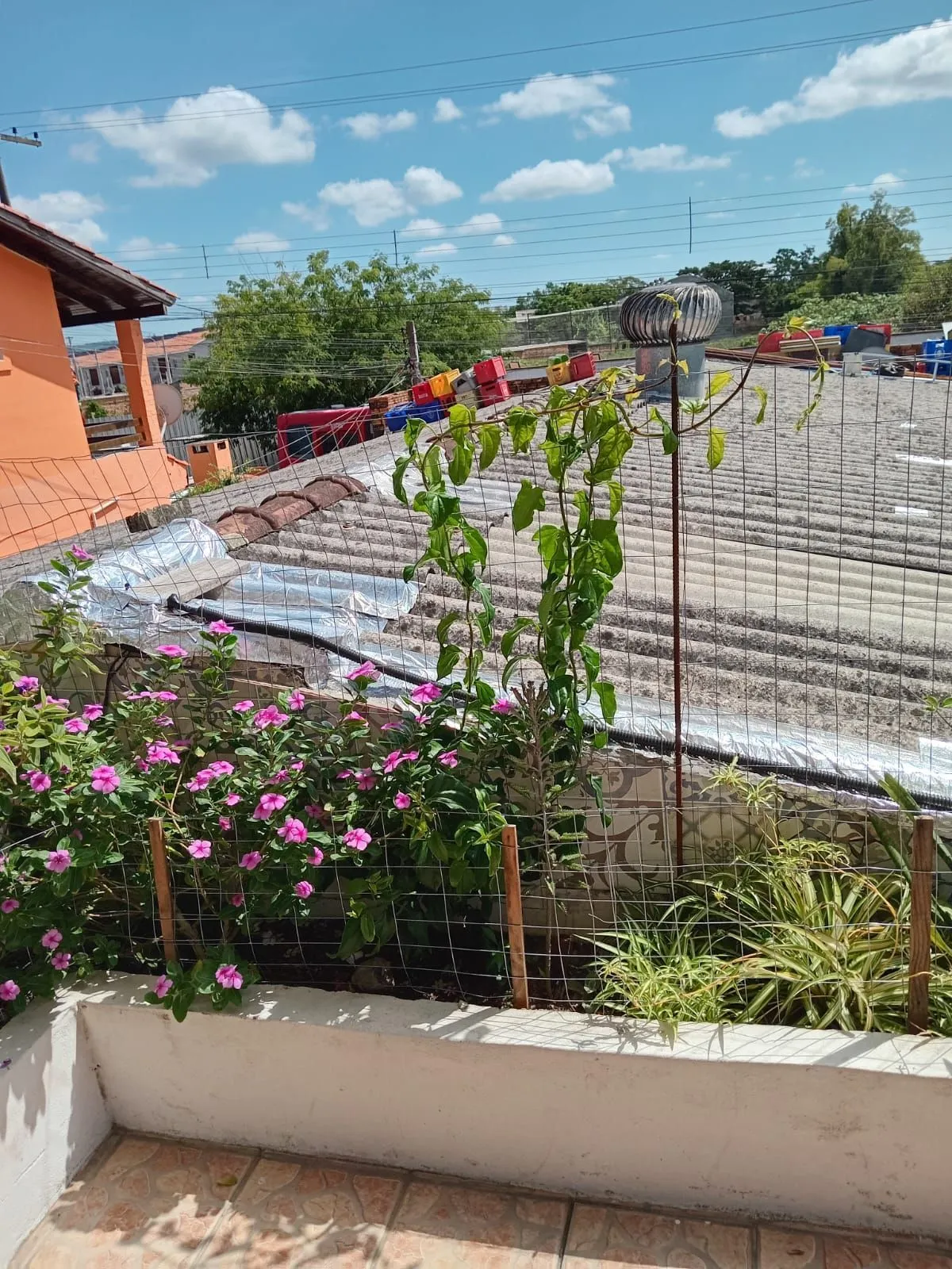 Imagem Casa em Restinga