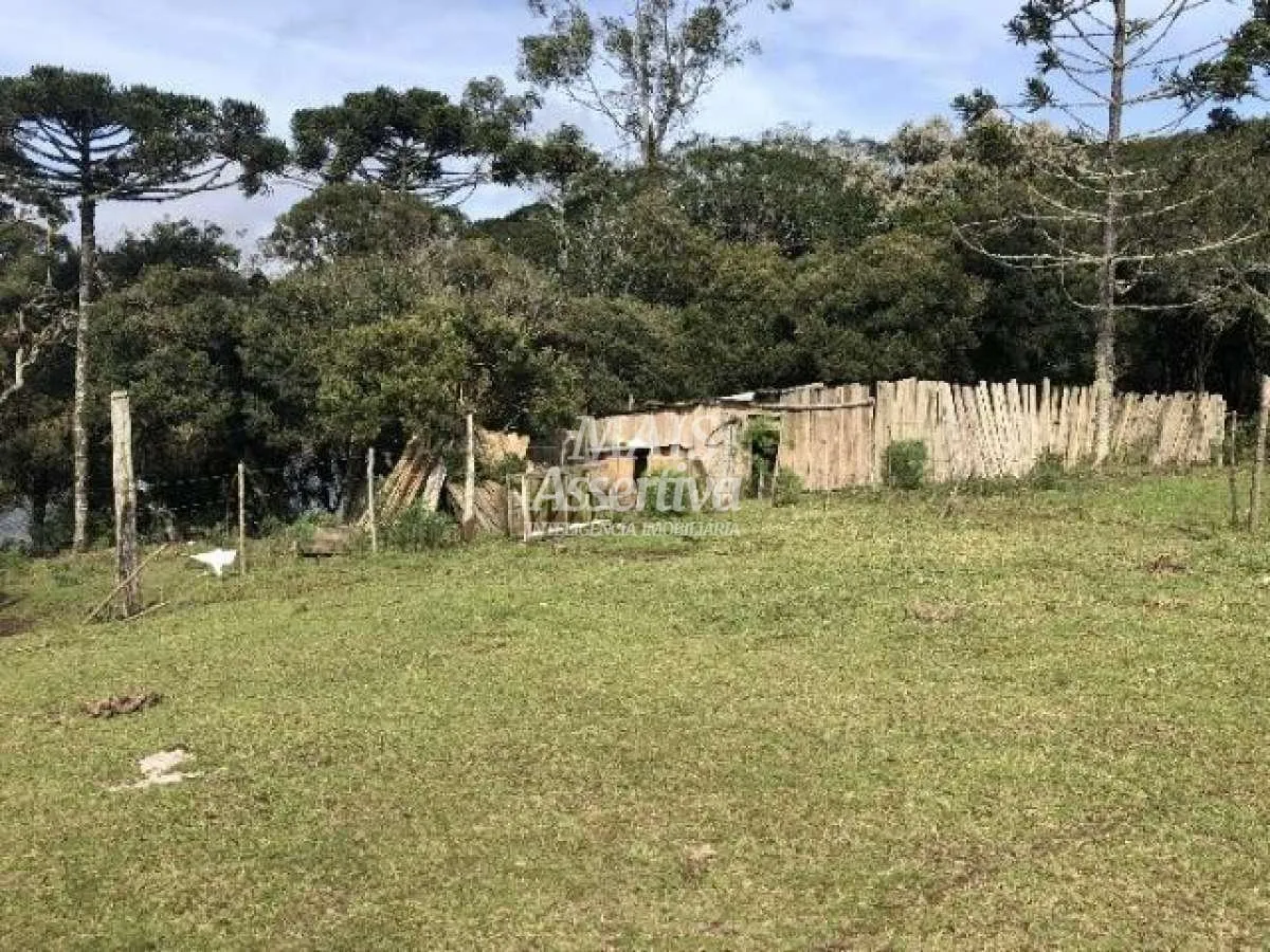 Imagem Sítio para Venda em Cambará Do Sul / RS no bairro Faxinalzinho