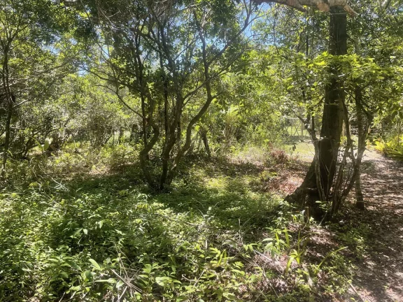 Imagem Terreno Praia Arandis