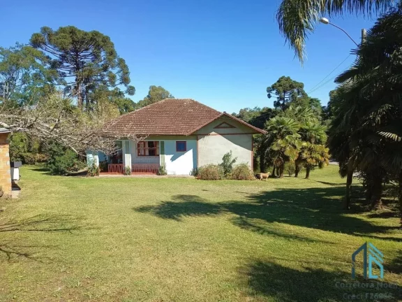 Imagem Terreno a venda, Área de 3.8 hectares em Fores da Cunha - Otávio Rocha RS
