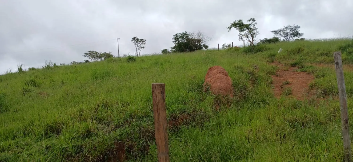 Imagem SÍTIO ESPETACULAR À VENDA EM PASSA TEMPO/MG -- 5,9 hectares de terra