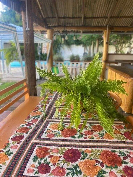 Imagem Casa no bairro Centro - Barra do Ribeiro