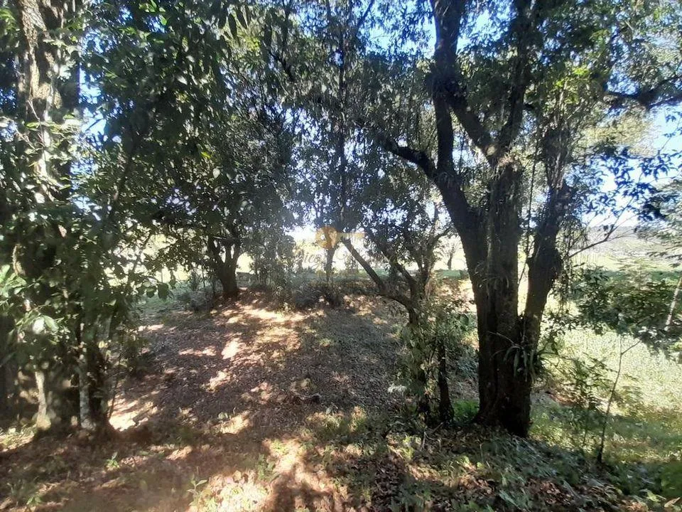 Imagem Terreno para Venda em Guapimirim / RJ no bairro Cotia
