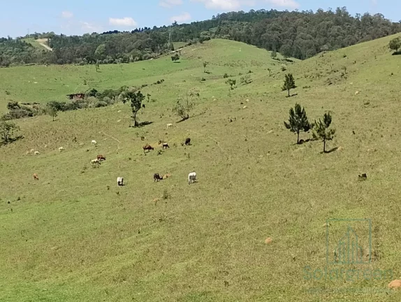 Imagem Terreno à venda 1204 m² por R$360.00,00 - Estância Brasil / Atibaia