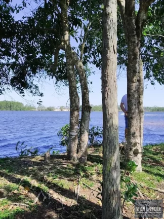 Imagem Fazenda à Venda em Jaguaruna, SC - 485,9 Hectares