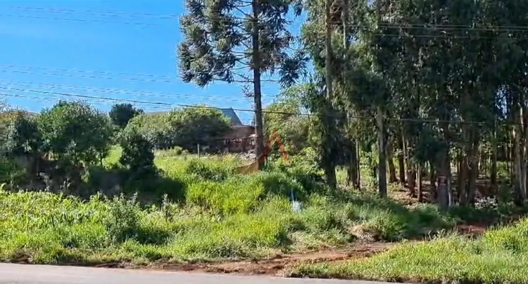 Imagem Excelente terreno amplo à venda, BOQUEIRÃO, GUARAPUAVA - PR