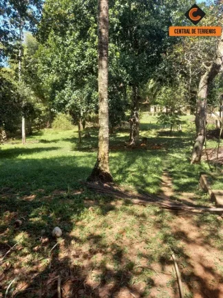 Imagem SÍTIO EM ABRANTES
