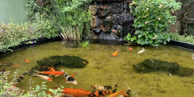 Imagem Chácara com 4 Quartos à Venda, 400 m² em Centro - Santa Isabel
