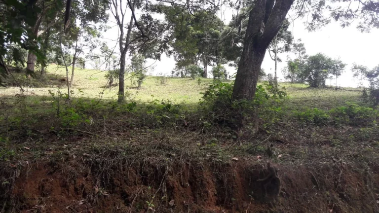 Imagem SITIO RURAL em CALDAS - MG, LARANJEIRAS DE CALDAS