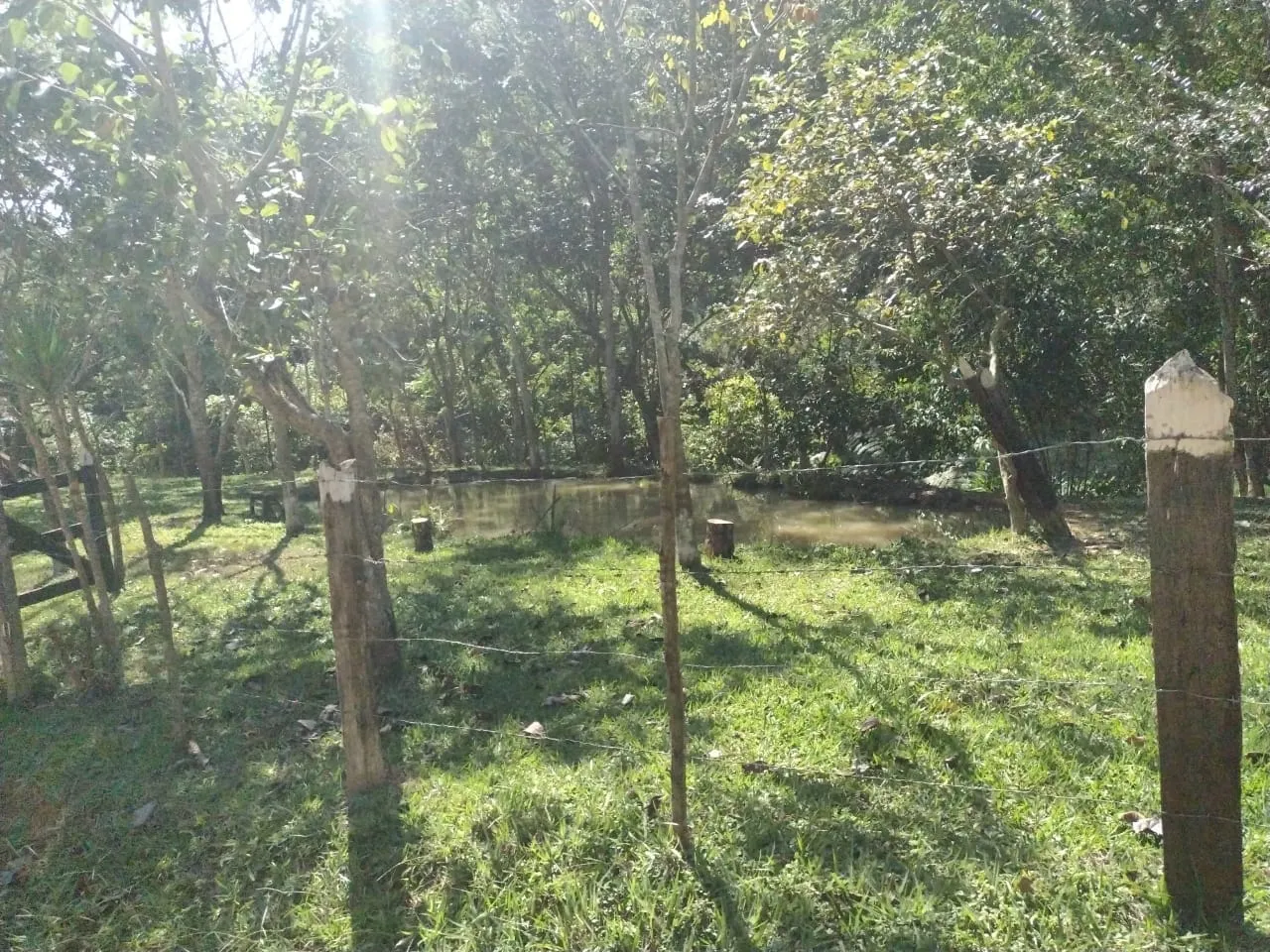 Imagem Chácara à venda 3 Quartos, 20000M², Zona Rural, Guaratinguetá - SP