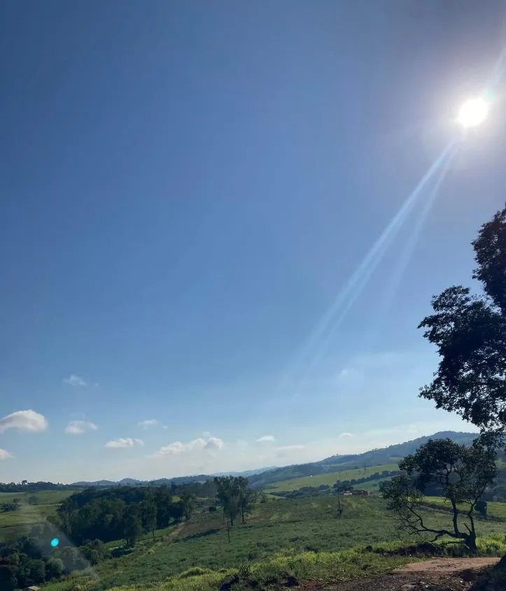 Imagem CHÁCARAS À VENDA EM CRUCILÂNDIA - MG com 10.000 m², toda plana