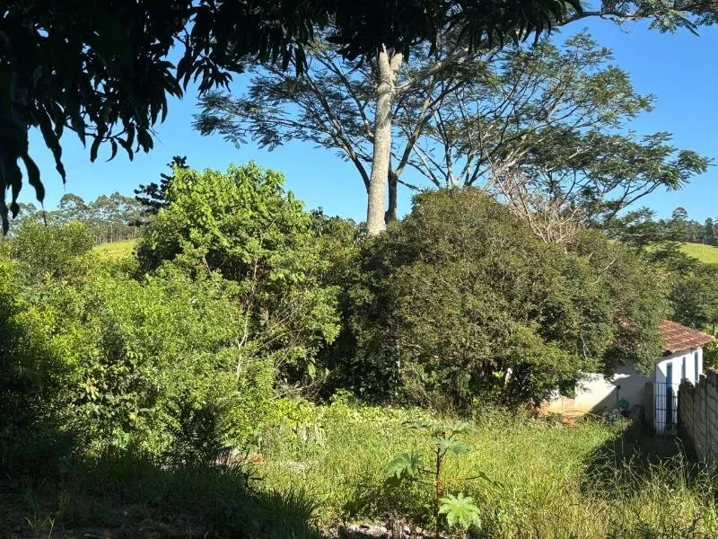 Imagem FAZENDA À VENDA - DESTERRO DE ENTRE RIOS (MG) 51 hectares de área total