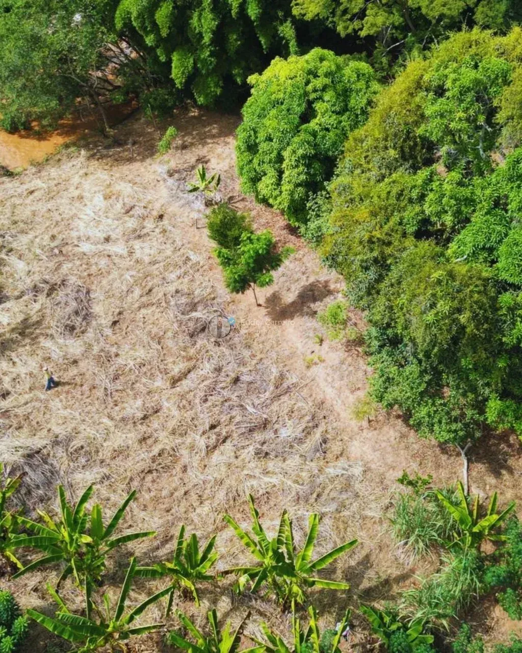 Imagem Imóvel