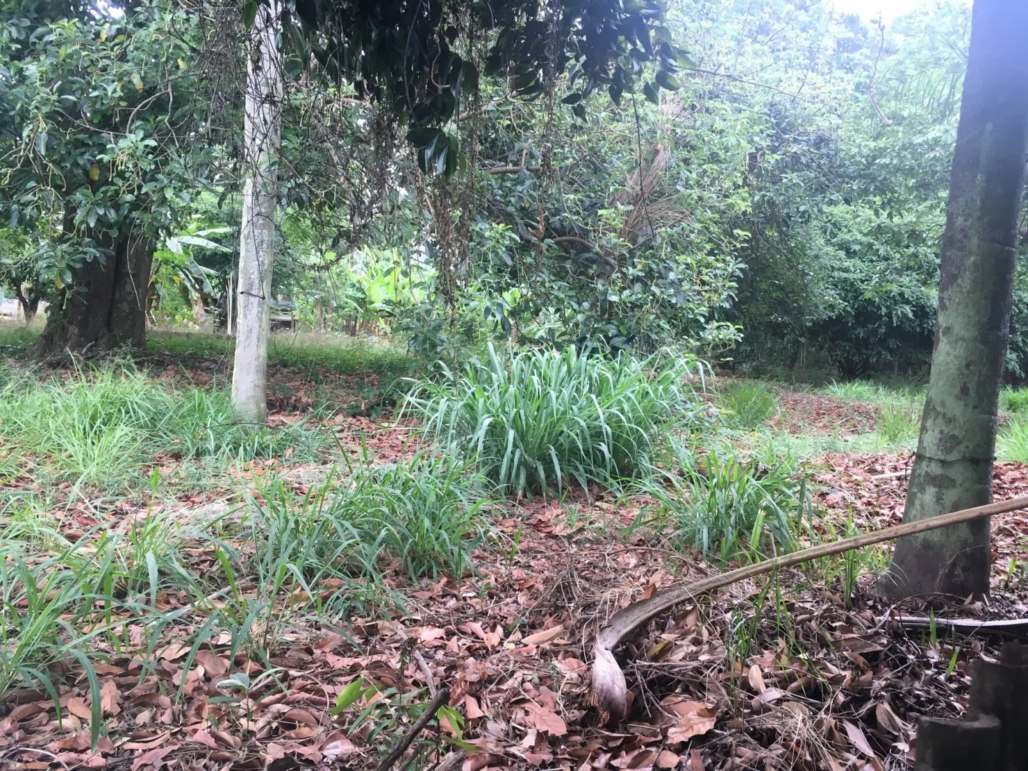 Imagem Terreno à venda 9 Quartos, 29773.51M², Bela Vista, Pindamonhangaba - SP
