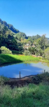 Imagem Área Agrícola para Venda em Ipumirim, Interior