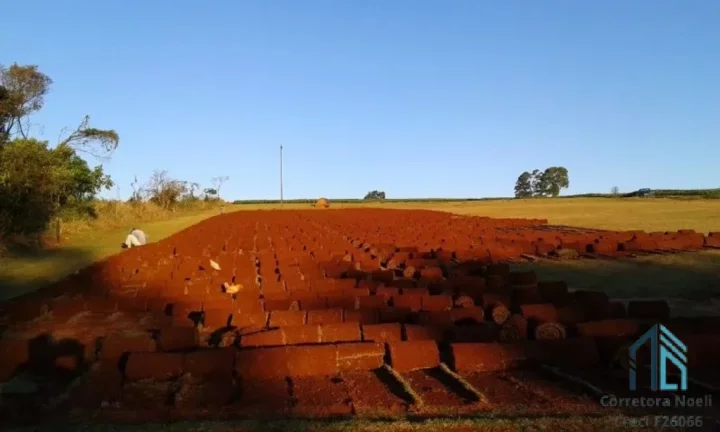 Imagem Terreno 92mil m², entre a Cidade de Rolândia e Arapongas, Rodovia 986 km 8 contorno sul de Rolândia PR