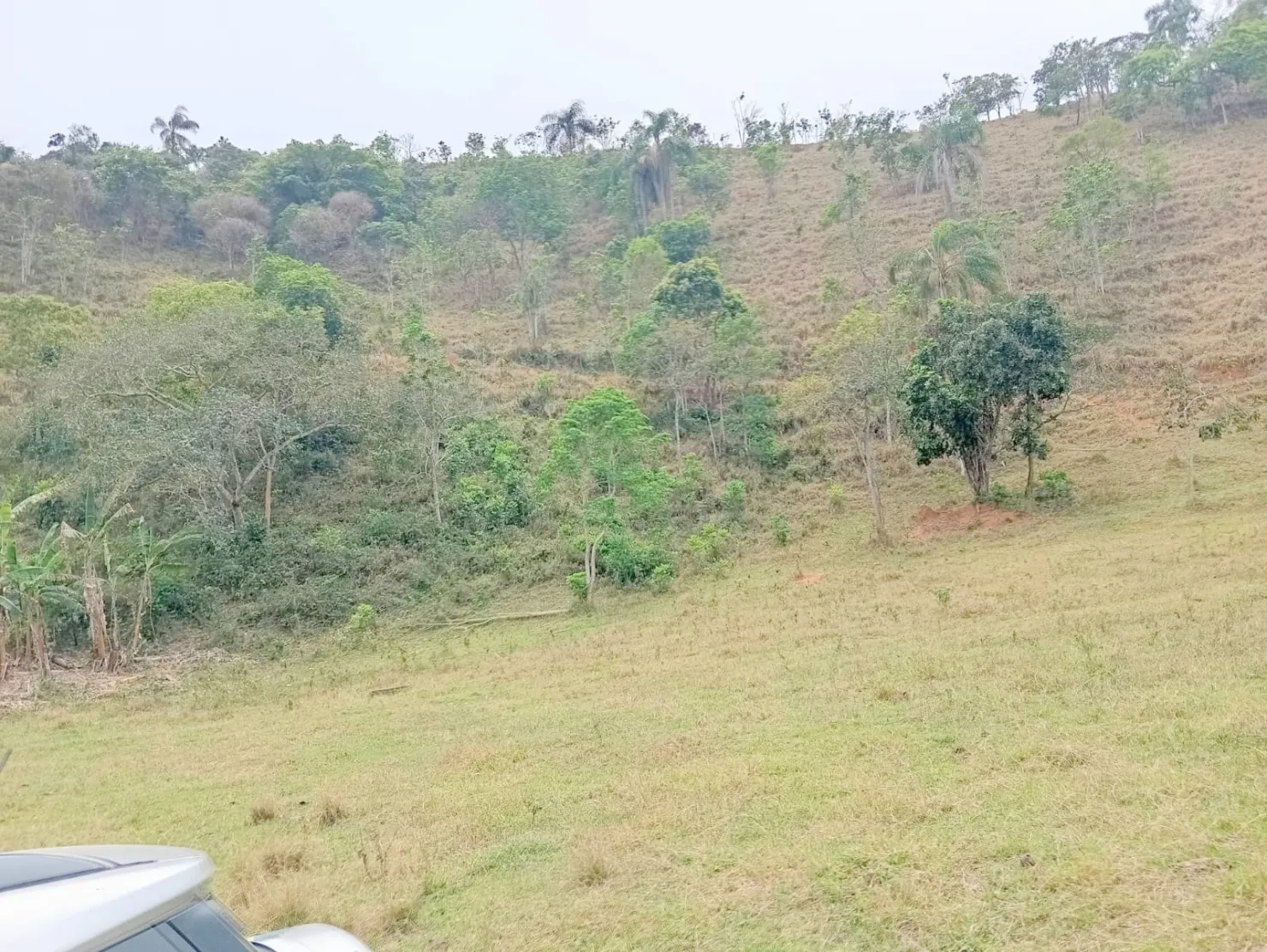 Imagem Fazenda proxima a Dutra paraa venda, , Roseira Velha, SP