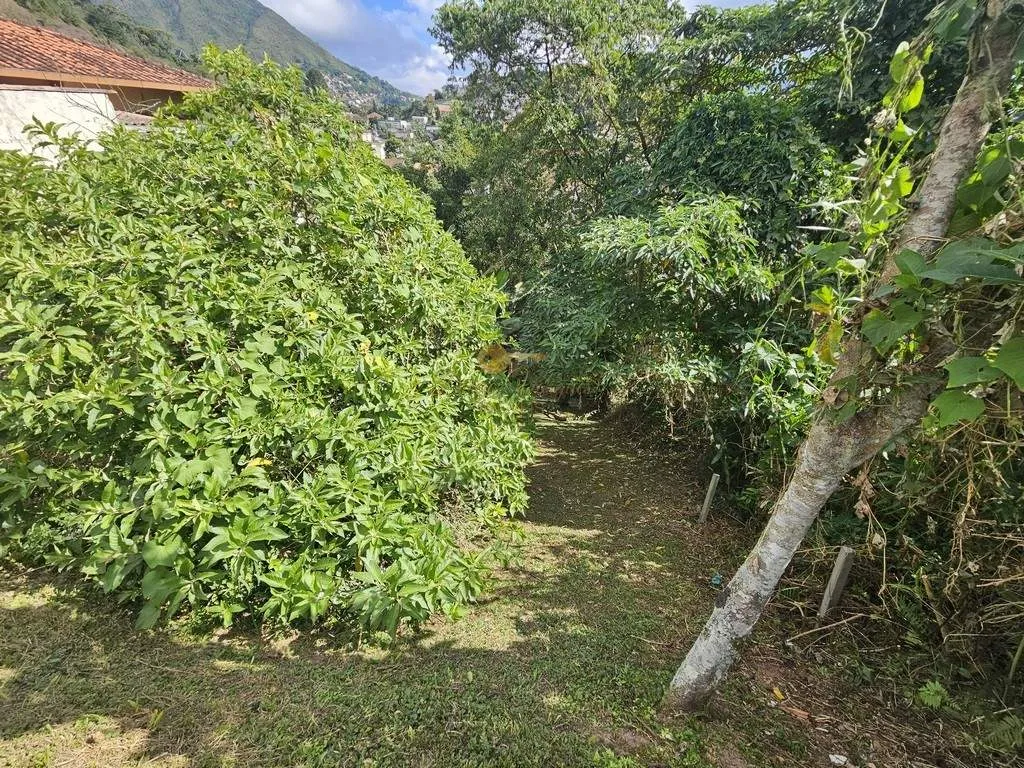 Imagem Terreno para Venda em Teresópolis / RJ no bairro Tijuca