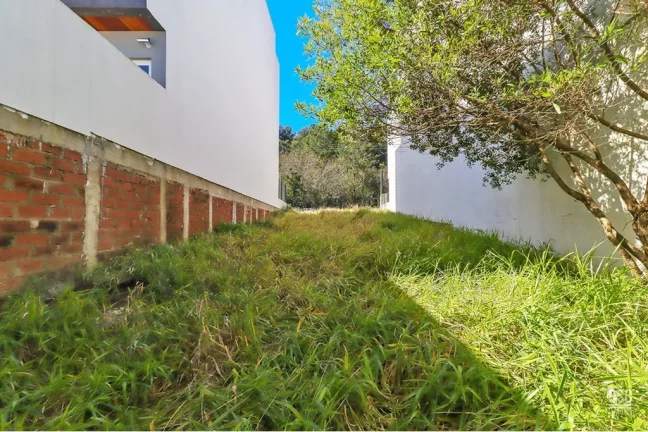 Imagem GHA 550 Lote 610191035-117 - Terreno à venda no bairro Guarujá - Porto Alegre/RS