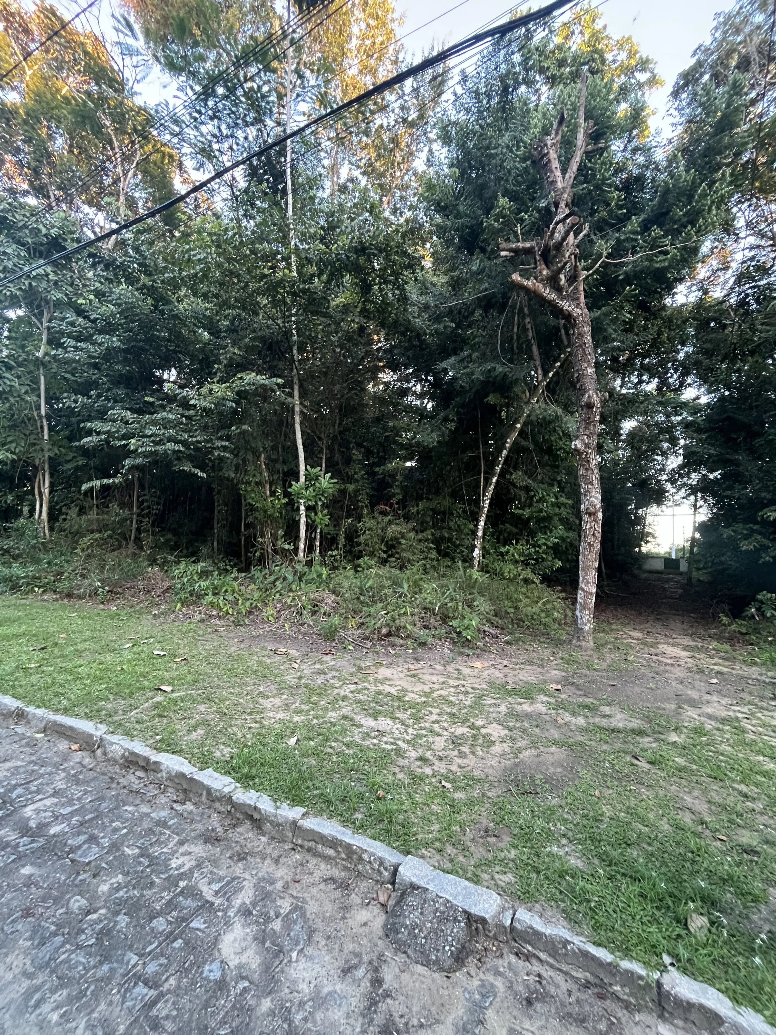 Imagem LOTE À VENDA NO CONDOMÍNIO CHÁCARAS DA LAGOA

Excelente oportunidade para construir sua casa em u...