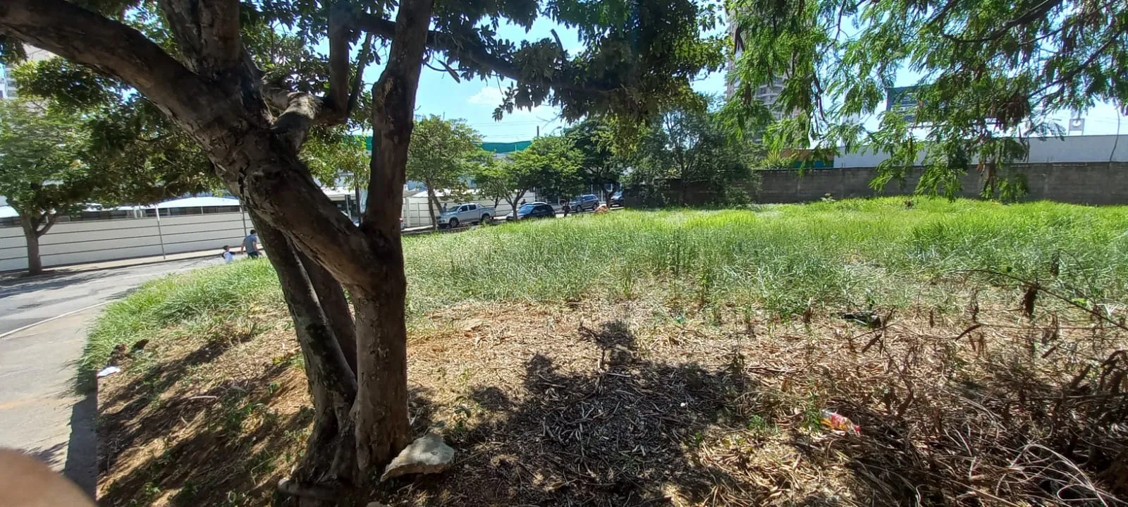 Imagem Amplo Terreno no Bairro Jardim Emília