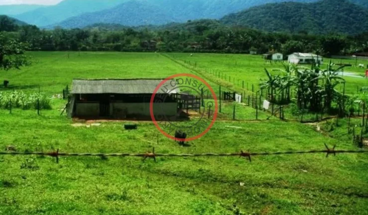 Imagem FAZENDA COM 55 MIL METROS DE AREA UTIL EM SAO SEBASTIAO