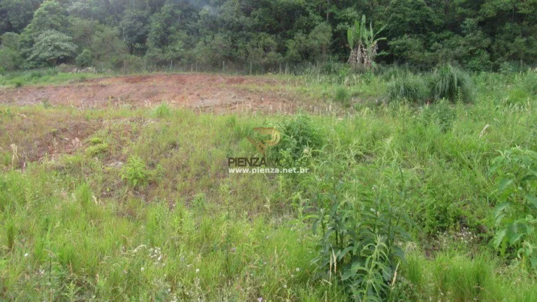Foto do imóvel Terreno para Venda em Concórdia, Santa Cruz em Senador Atílio Francisco Xavier Fontana