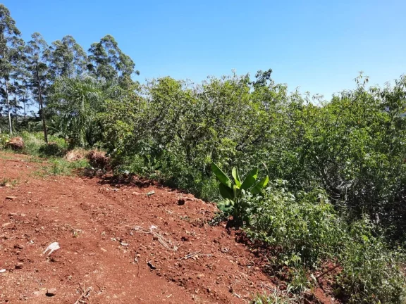 Imagem Sítio / Chácara para Venda em Concórdia, Interior