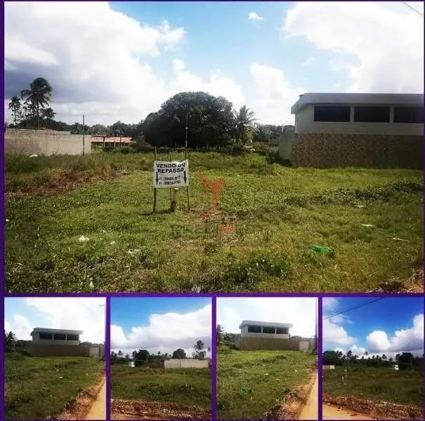 Imagem Terreno 304m² Nova Cruz Igarassu/PE