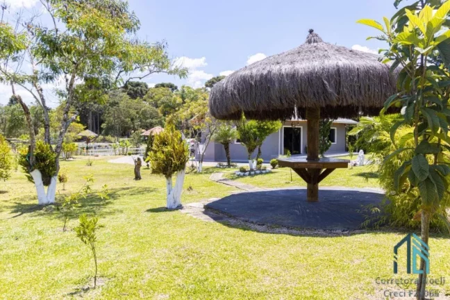 Imagem (PERMUTA) Chácara, com tanque de peixe, de várias espécies, duas casas, próximo ao centro de Contenda PR