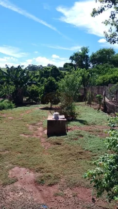 Imagem CHÁCARA A VENDA EM RIO PRETO