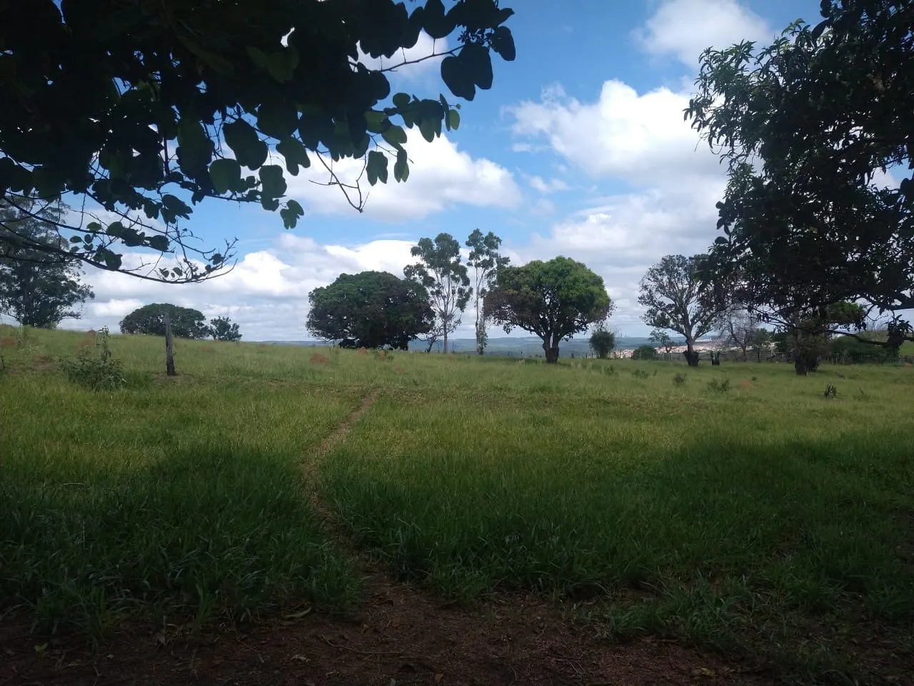 Imagem Vende-se esta área com 89 mil metros em Brigadeiro Tobias