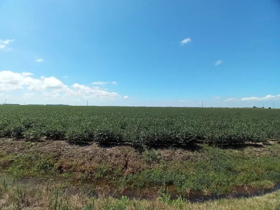 Imagem Fazenda à Venda – 194 Hectares – Viamão/RS