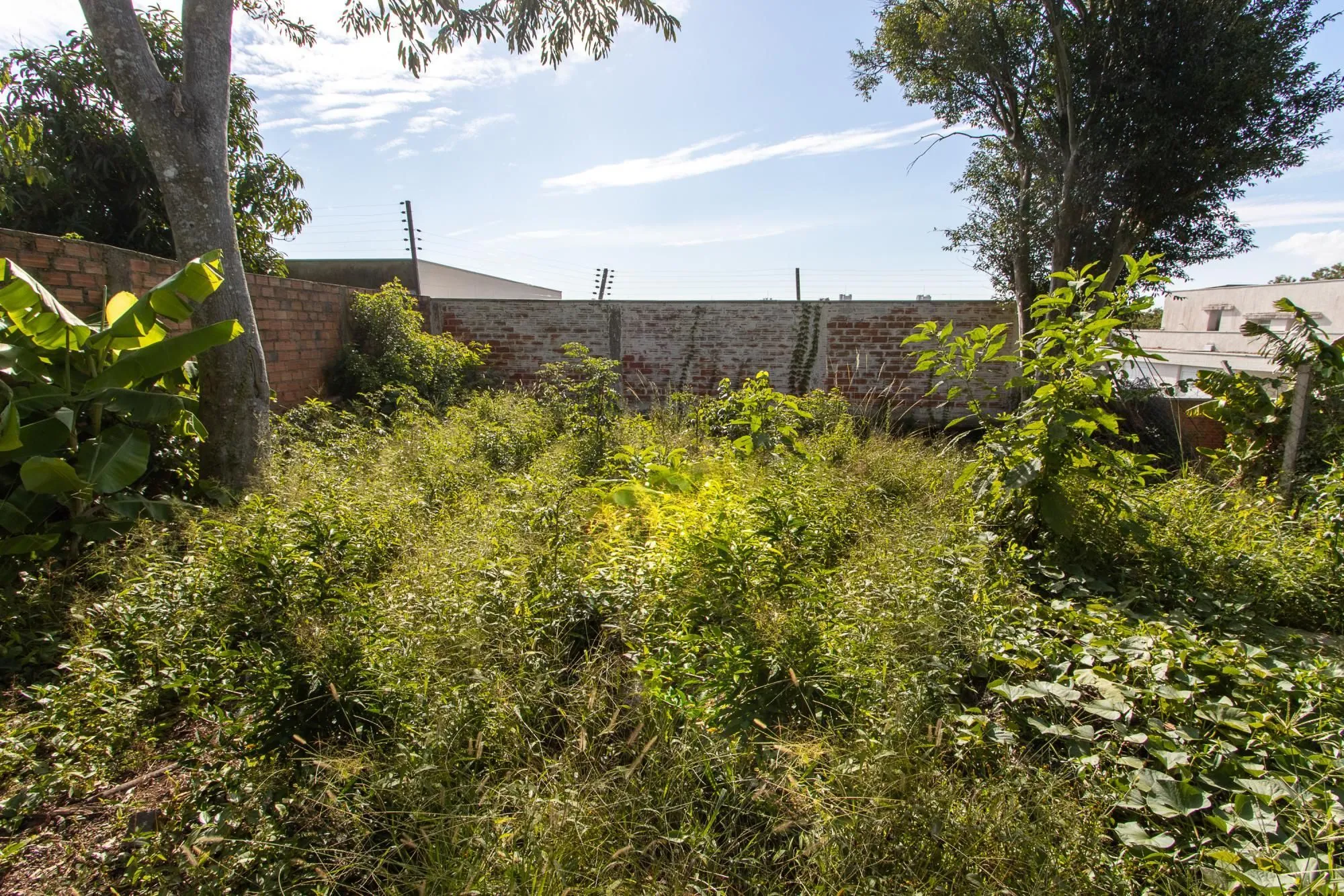Imagem Casa de 3 dormitórios, 1 suíte e 2 vagas no bairro Vila Conceição.
