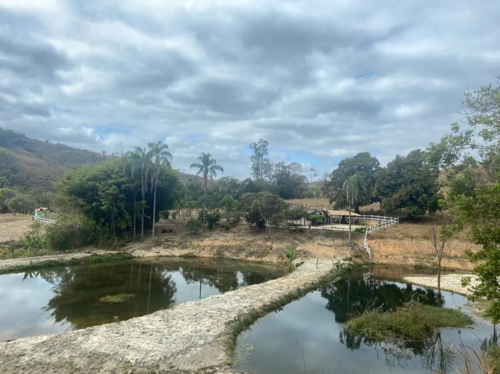 Imagem Sítio Maravilhoso à Venda em Bonfim/MG, com 9 hectares de terra