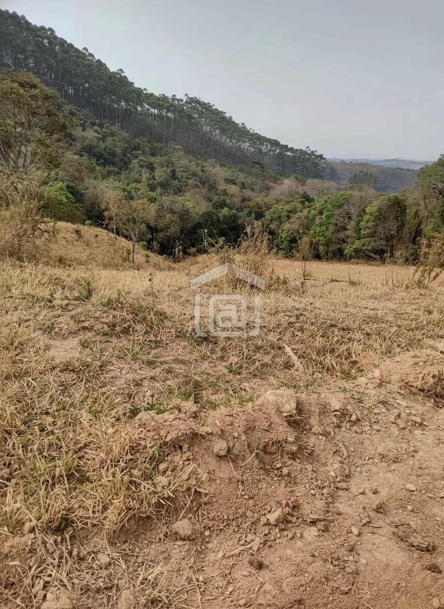 Imagem Sítio 24 m² à venda em Pocinhos do Rio Verde, Caldas