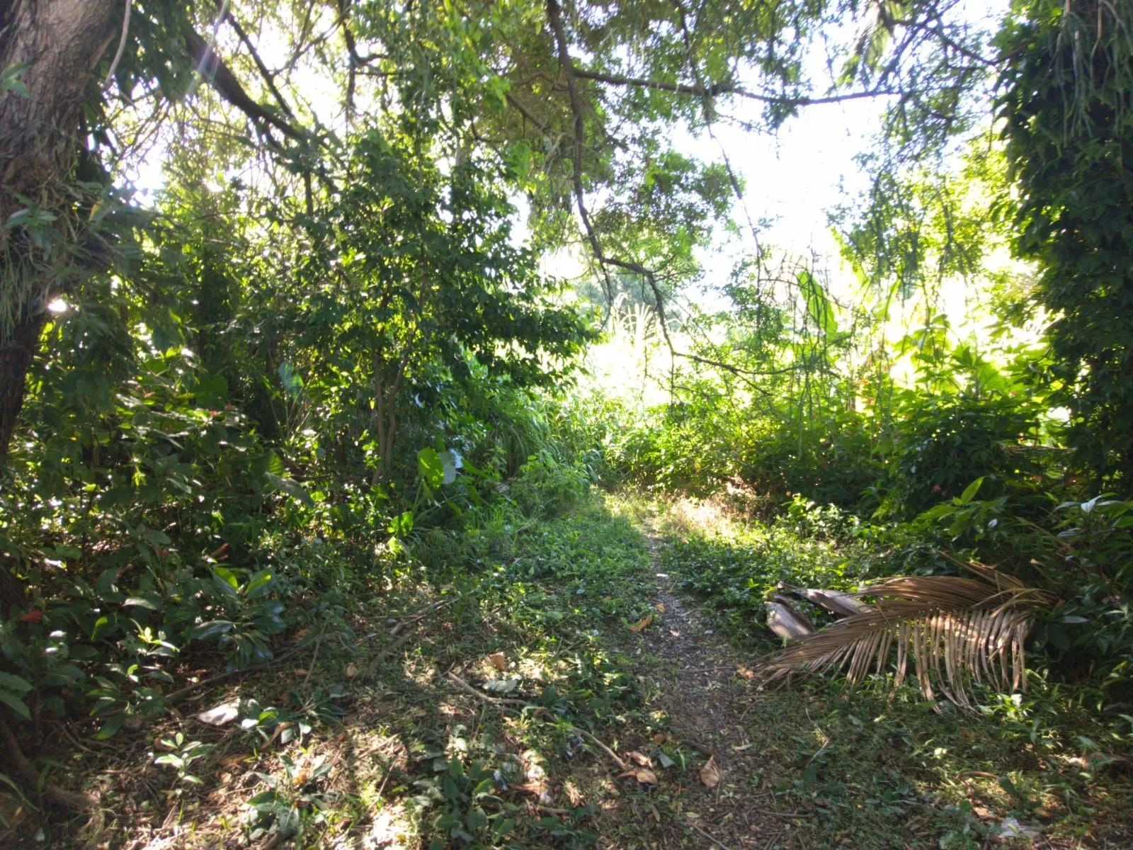 Imagem Terreno à venda medindo 45x25 próximo a Juca Batista, Zona Sul POA