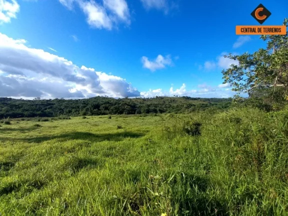 Foto do imóvel ÁREA EM SIMÕES FILHO