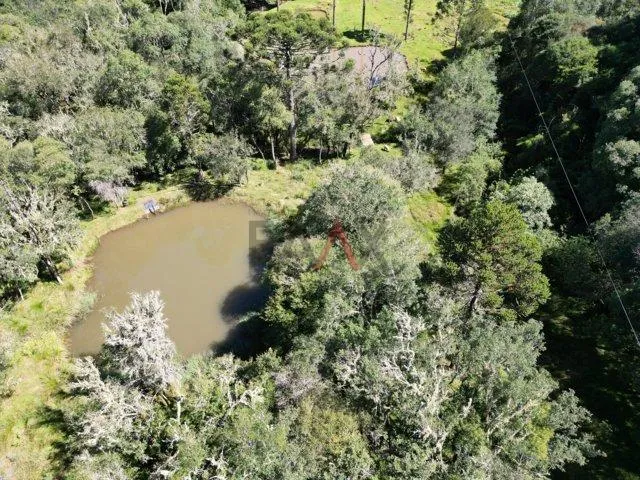 Imagem Chácara à venda,122.962,16 m , Distrito do Guairacá, GUARAPUAVA - PR