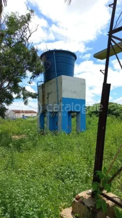 Imagem Fazenda à venda em Jandaíra - 300 hectares com alto potencial produtivo
