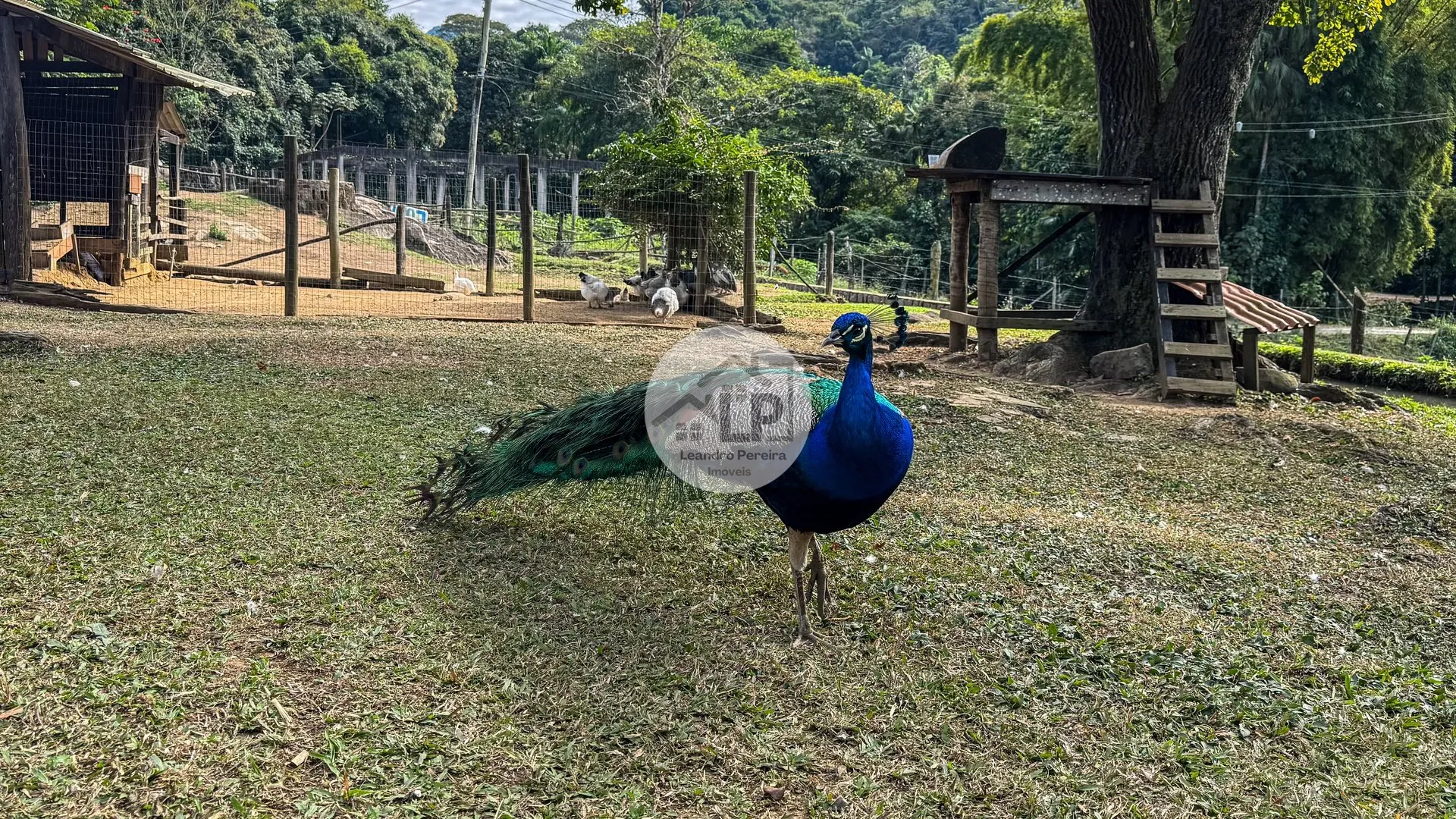 Imagem Fazenda/Sítios/Chácaras de 3 quartos, 150m² no bairro Penedo, em Itatiaia