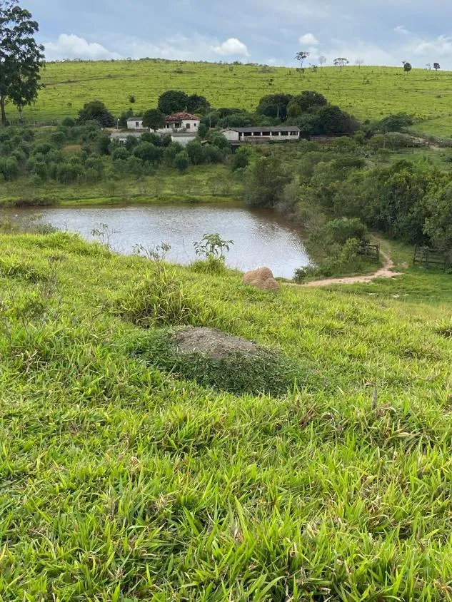Imagem endo uma excelente fazenda em Desterro de Entre Rios com 277 hectares de terra