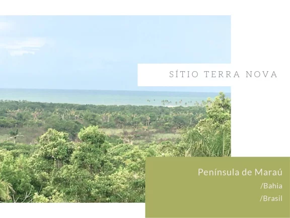 Foto do imóvel SÍTIO TERRA NOVA